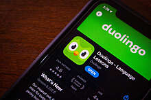 Роскомнадзор запросил проверку на ЛГБТ-пропаганду сервиса Duolingo