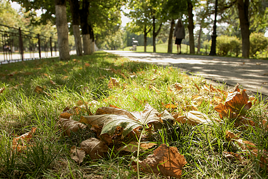 ИИ-синоптик: В Ростов ненадолго заглянуло тепло