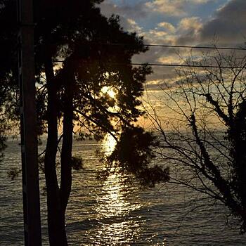 Молодая пара пострадала из-за селфи