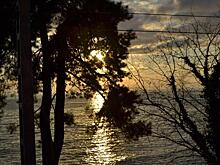 Молодая пара пострадала из-за селфи