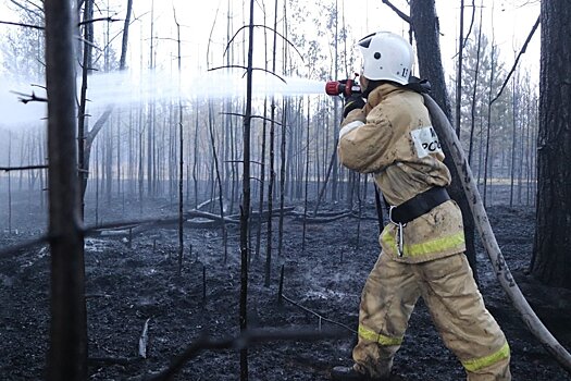 Пожарным и спасателям Удмуртии могут повысить пенсии с 2021 года