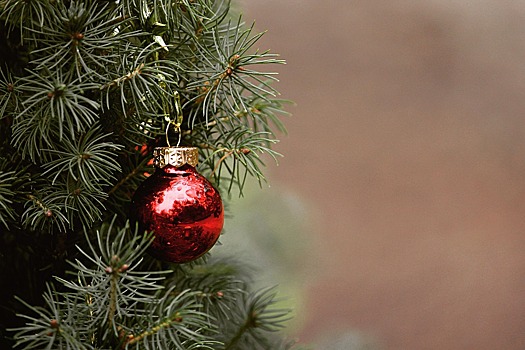 Как правильно убрать новогоднюю елку