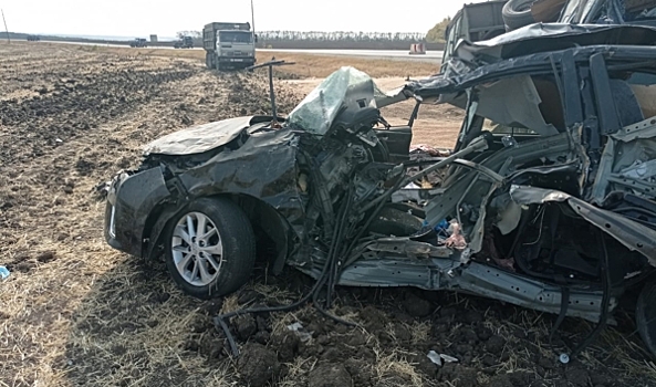В Воронежской области Toyota столкнулась с «КамАЗом»: погибли три человека