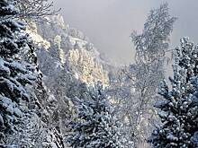 Шансы найти бесследно пропавших в тайге Усольцевых оценили