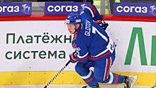 «Пока последняя сирена не прозвучала, есть надежда на успех». Быков – о шансах СКА в серии плей‑офф КХЛ с «Автомобилистом»