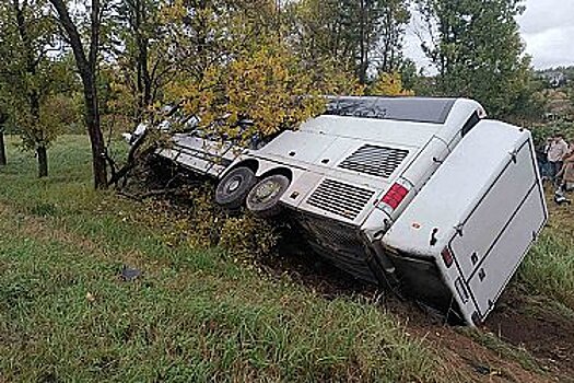 В Хабаровске осудят директора транспортной компании за аварию с пострадавшими