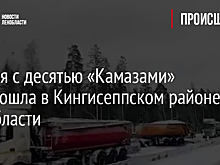 Авария с десятью «Камазами» произошла в Кингисеппском районе Ленобласти