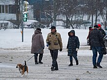 Москвичам дали советы по соблюдению безопасности на улице зимой