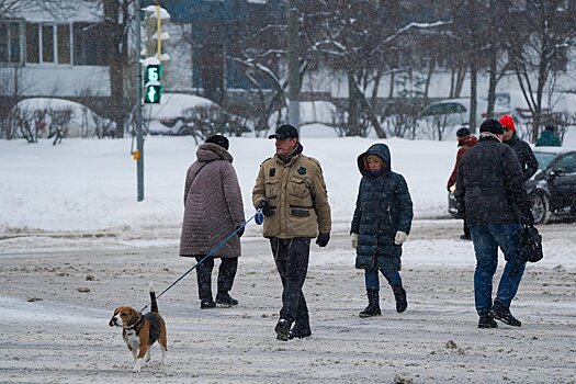 Москвичам дали советы по соблюдению безопасности на улице зимой