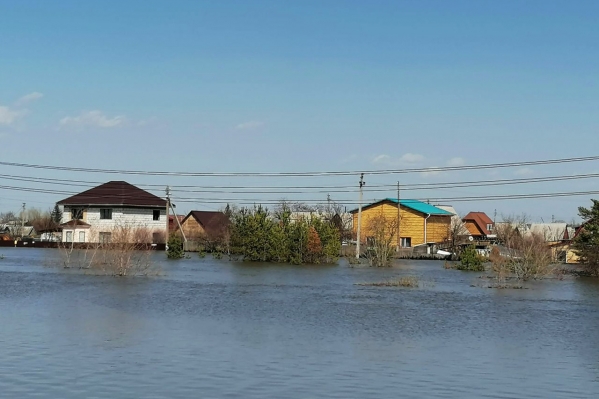Эколог об ущербе от паводков: «Восстановление потребует сотен миллиардов рублей»