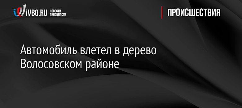 Автомобиль влетел в дерево Волосовском районе