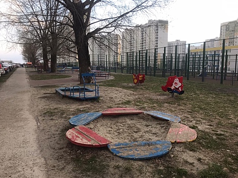 В 2023 году в Курске появится современный скейтпарк