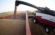 Российский экспорт зерна упал на 40%