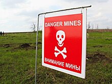 Бойцы ВСУ подорвались на мине в Донбассе, двое погибли