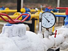 В Германии назвали последствия отказа Украины от российского газа для Европы