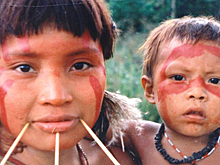 В Амазонии нашли секрет продления жизни