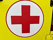 Соцфонд: В случае болезни матери ее родственник может временно уйти в декрет