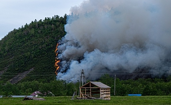 Гринпис: сейчас в России горит почти 1 млн гектаров леса