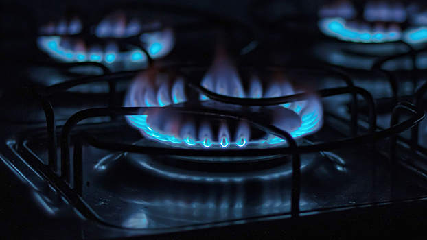 Госдума приняла закон о безопасности газового оборудования