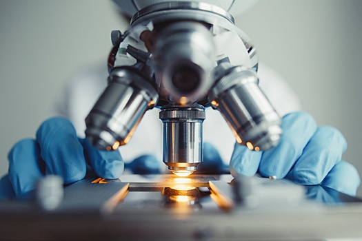 Сегодня отмечается День российской науки