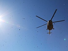 В Красноярском крае объявили 6 августа днем траура