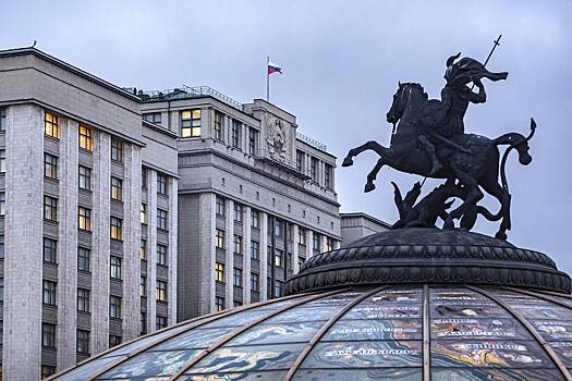 В Госдуме пообещали пересмотреть критерии самозанятости