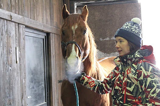 Под Тюменью создают первый в стране дом-музей русских пород лошадей