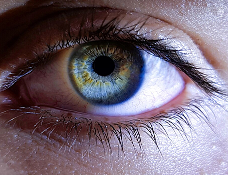 Пересадка стволовых клеток роговицы поможет сохранить зрение пациентам