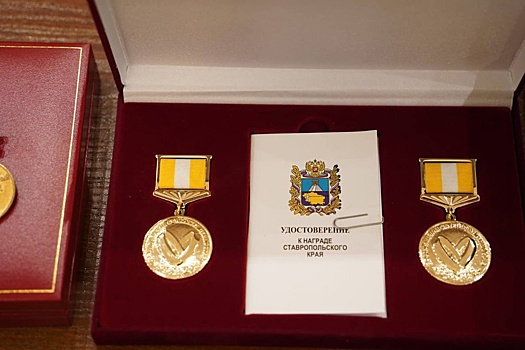 На Ставрополье вручили первые медали "За сохранение семейных ценностей"