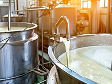 «ЭкоНива» увеличила вдвое мощности по производству творога на Аннинском молочном заводе