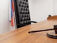 ФНС подало два иска к менделевскому хозяйству Зиганшиных
