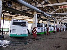 На дороги Рязани до конца года выпустят ещё 60 автобусов