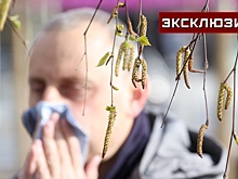 Иммунолог Болибок рассказал, как справиться с внезапной аллергией на пыльцу