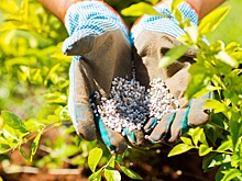 В 2023 году российские аграрии закупили более 5 млн тонн удобрений