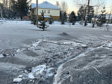 Два десятка проверяющих приехали на ГРЭС в Кузбассе из-за черного снега