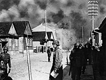 Преступный "Буйвол": выжженная гитлеровцами земля под Ржевом