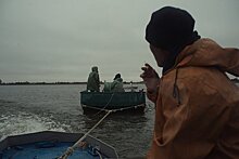 «Есть рыба — есть и деньги» Рыбаков на Волге становится все меньше. Чем живут люди на главной реке России?
