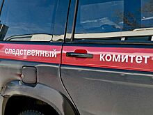 Адвоката из Саратова уличили в покушении на особо крупное мошенничество