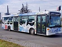 Транспортники прокомментировали инцидент с выпавшей из автобуса челябинкой
