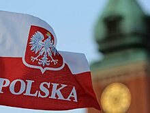 Myśl Polska: в Польше создано «Антивоенное движение» против вмешательства в СВО