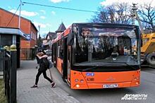 Денис Паслер недоволен общественным транспортом в Оренбурге