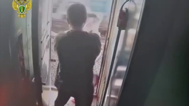 Задержан пассажир, вытолкнувший проводницу из поезда Челябинск  Петербург