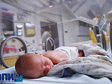 В Екатеринбурге пройдет международный форум об организации культурных мероприятий