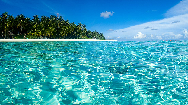 «Аллергия на море»: российские туристы массово жалуются на странные симптомы после отдыха