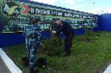 Руководство УФСИН  России по Оренбургской области и ветераны УИС посадили деревья в рамках акции «Сад памяти»