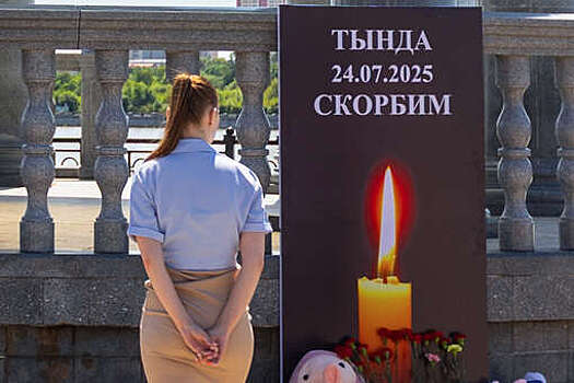 Власти Ирана выразили соболезнования России в связи с крушением Ан-24