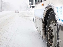 В области фургон наехал на женщину, которая выбежала из-за автобуса
