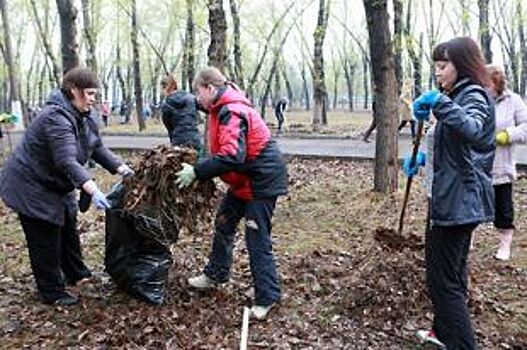 Более 80 тысяч человек вышли на городской субботник в Красноярске