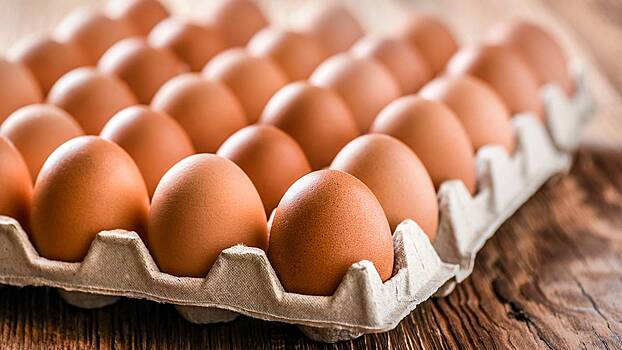 Хирург Умнов рассказал, почему не стоит есть яйца по утрам каждый день