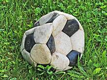 Ценный мяч, которым играли Круифф и Беккенбауэр в финале ЧМ-1974, будет продан с аукциона